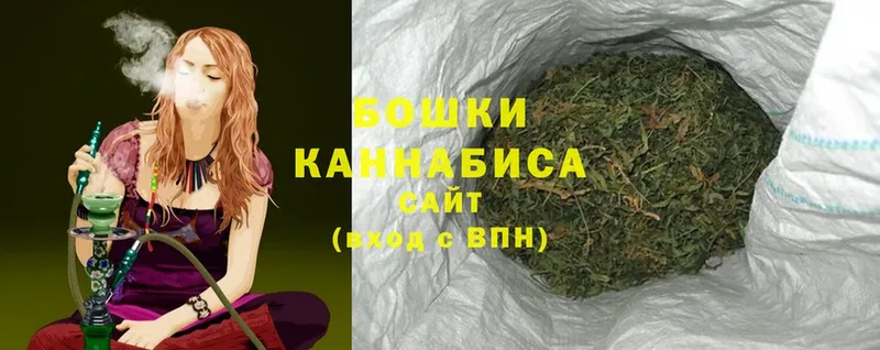 закладка  Куртамыш  Бошки марихуана SATIVA & INDICA 